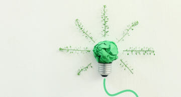 Concept,Image,If,Green,Crumpled,Paper,Lightbulb,,Symbol,Of,Scr,